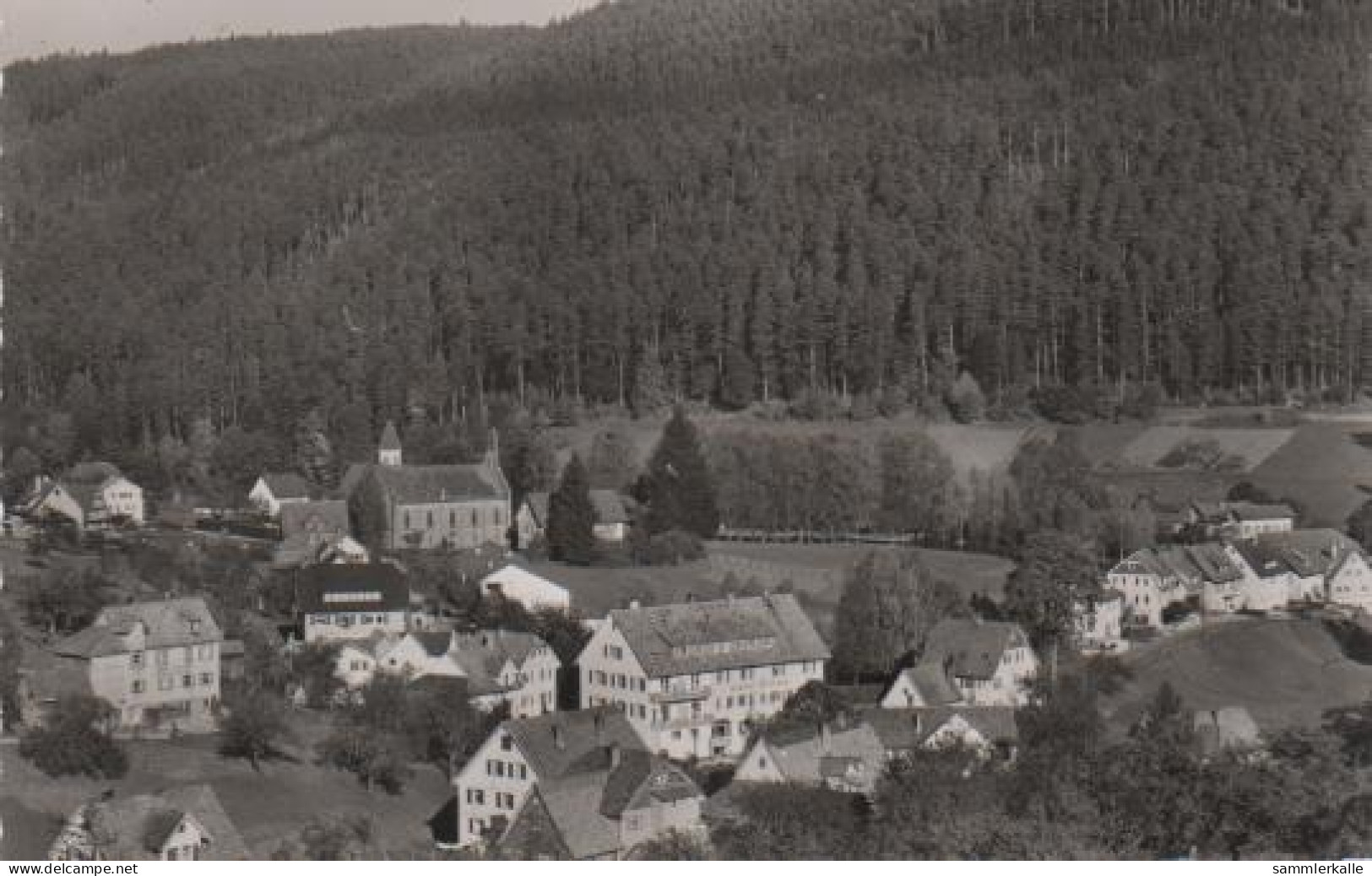 7034 - Bad Wildbad - Enzklösterle B. Wildbad - 1961 - Calw