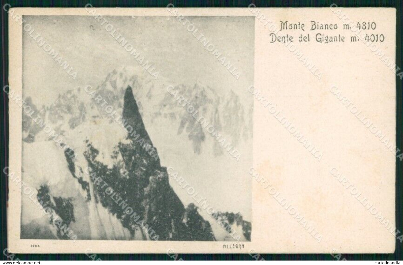 Aosta Città Monte Bianco Dente Del Gigante Cartolina MX4358 - Aosta