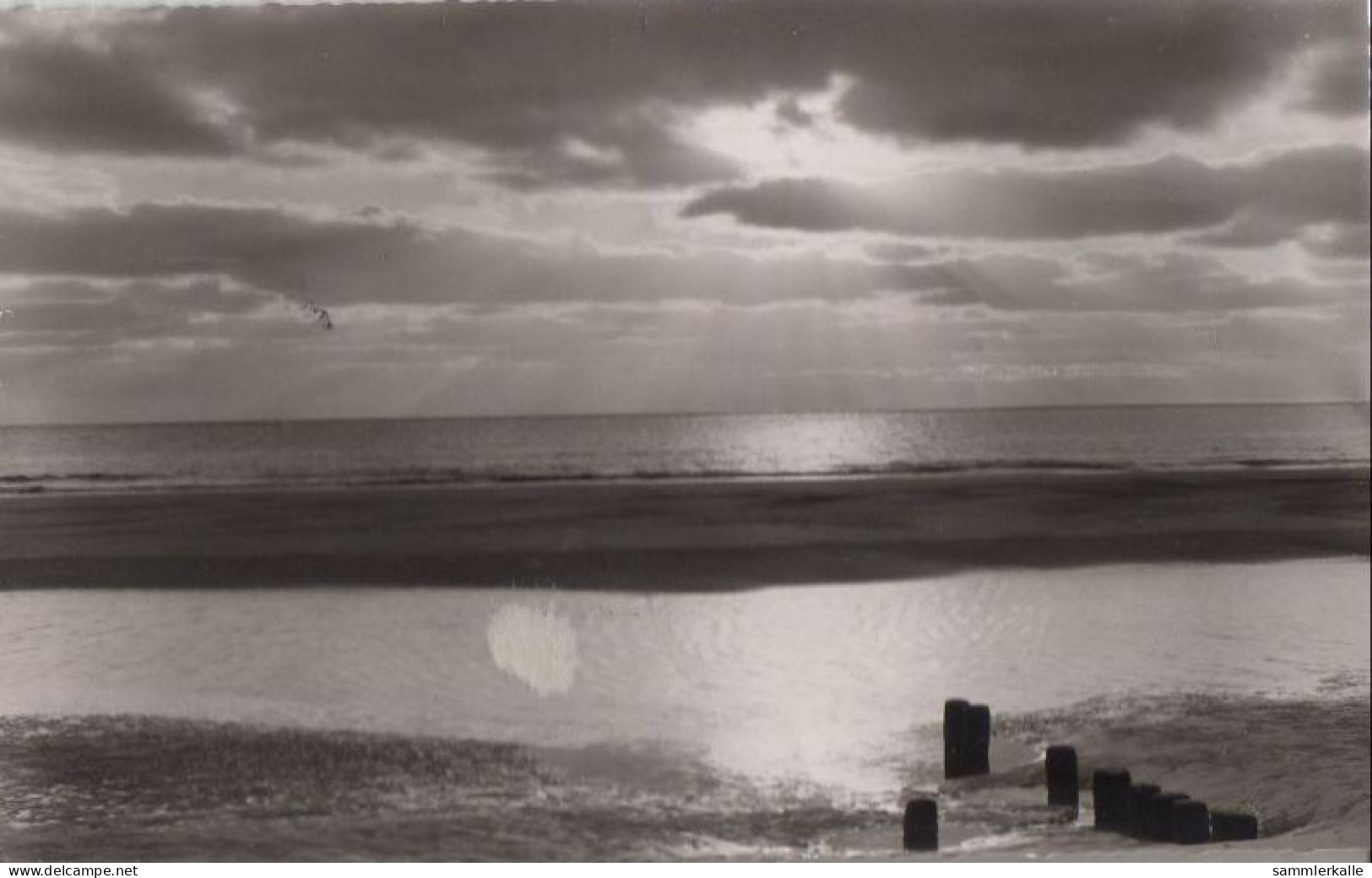 31436 - Borkum - Abend Am Meer - 1961 - Borkum