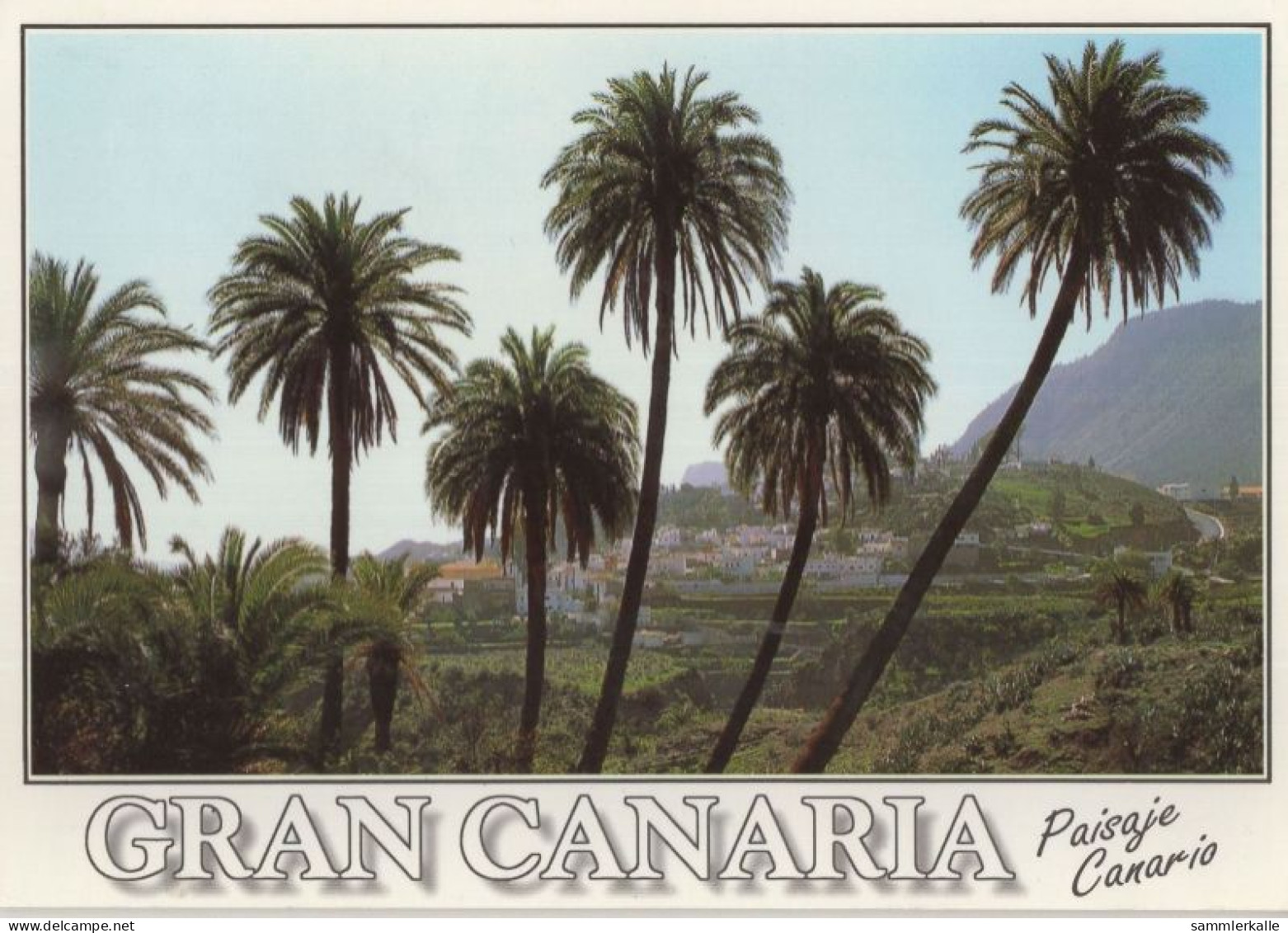 133437 - Gran Canaria - Spanien - Paisaje Canario - Gran Canaria