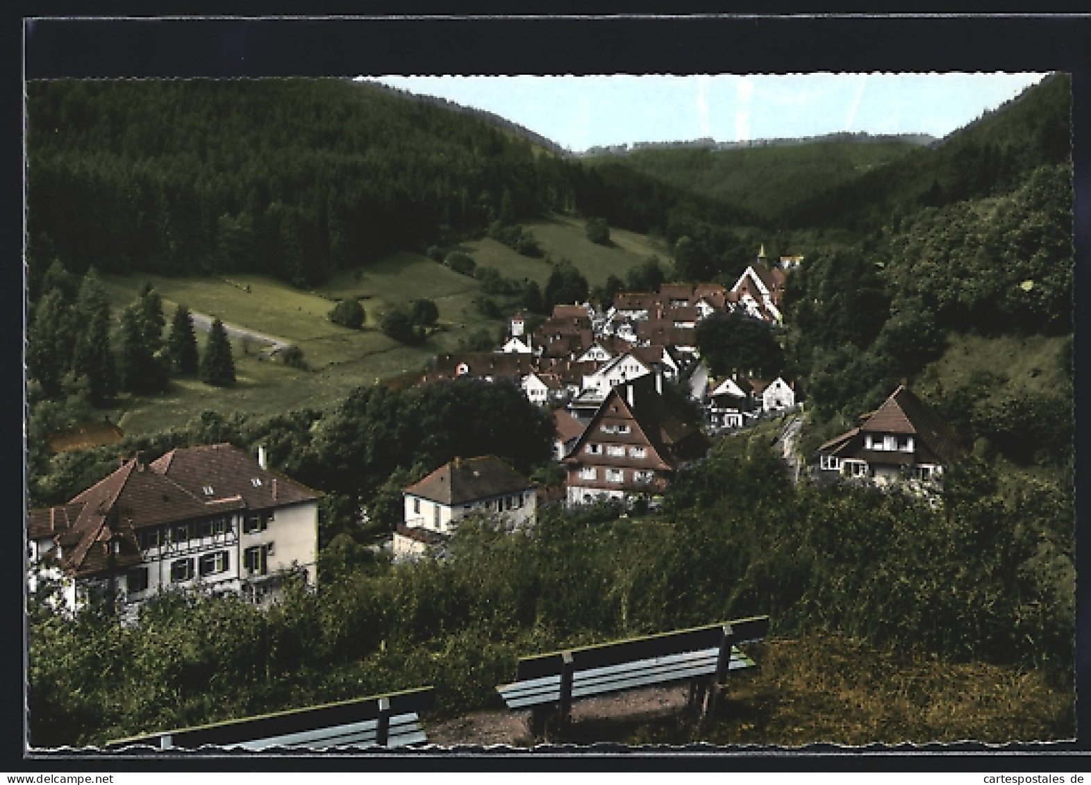 AK Bad Teinach / Schwarzwald, Blick Vom Panoramaweg  - Bad Teinach