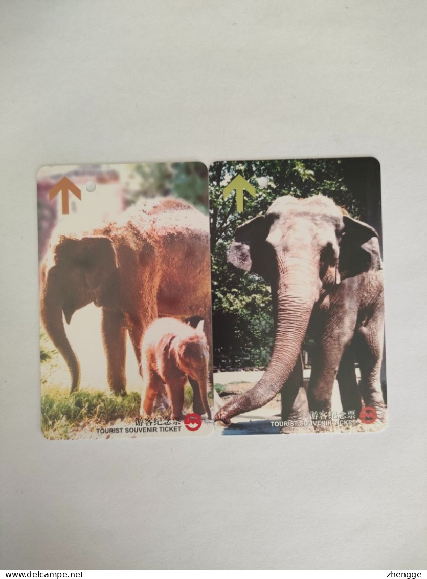 China Transport Cards, Asian Elephants, Metro Card, Shanghai City, (2pcs) - Sin Clasificación