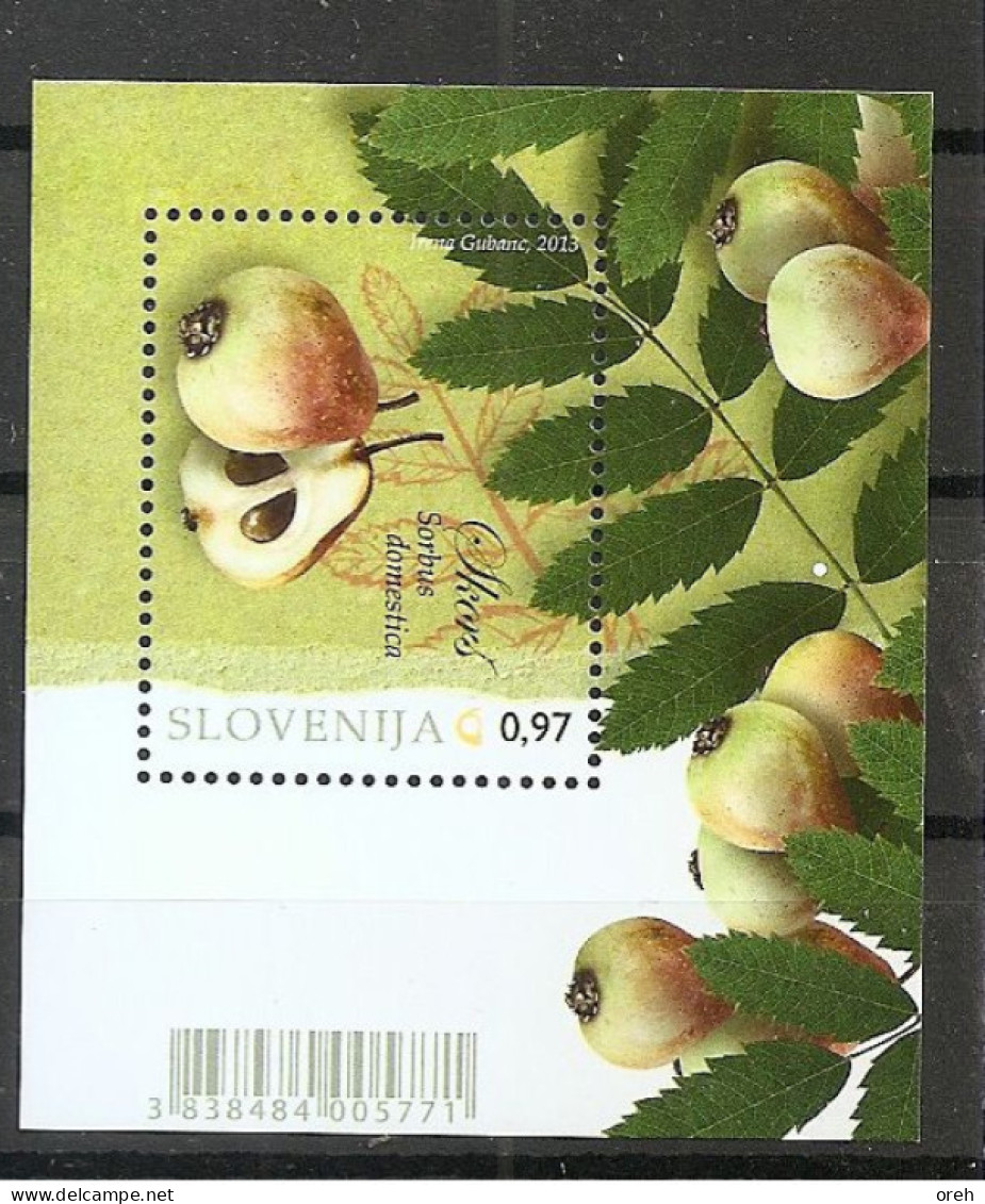 SLOVENIA 2013,FLORA,PRUNUS DOMESTICA,SKORŠ,BLOCK,MNH - Trees