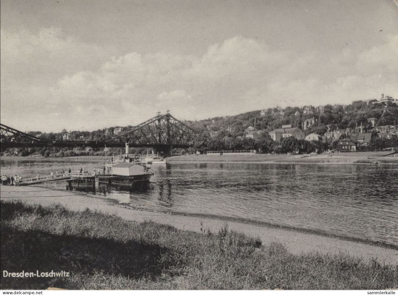 124471 - Loschwitz (OT Von Dresden) - Brücke - Dresden