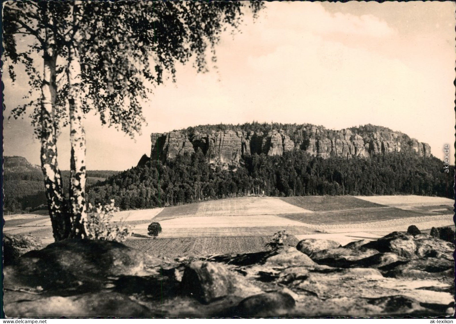 Pfaffendorf Königstein (Sächsische Schweiz) Blick Vom Quirl 1964 - Koenigstein (Saechs. Schw.)