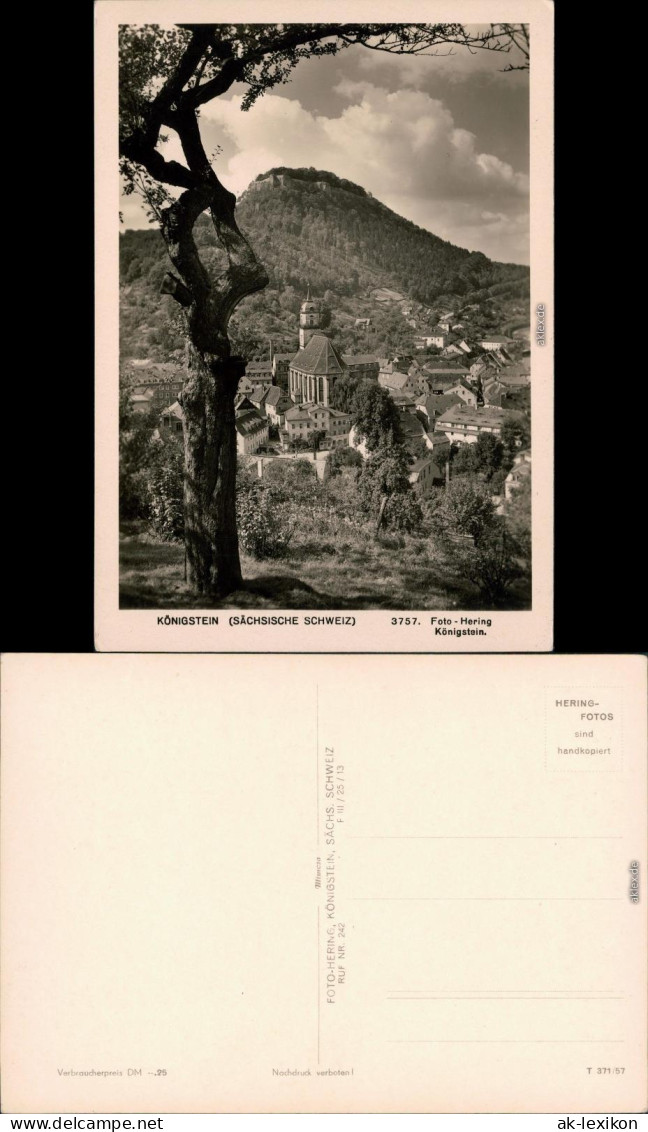 Königstein (Sächsische Schweiz) Burg Königstein Mit Stadt-Blid 1957  - Koenigstein (Saechs. Schw.)