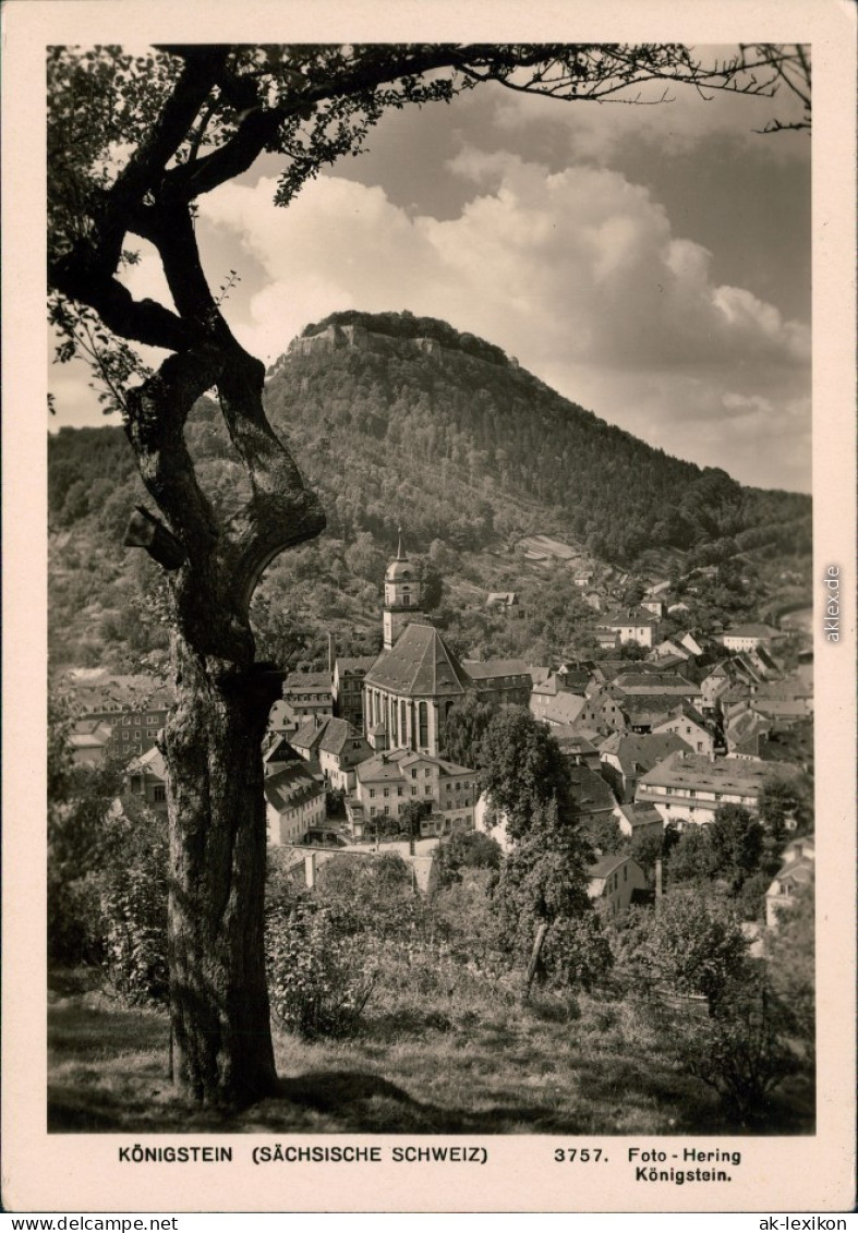 Königstein (Sächsische Schweiz) Burg Königstein Mit Stadt-Blid 1957  - Koenigstein (Saechs. Schw.)