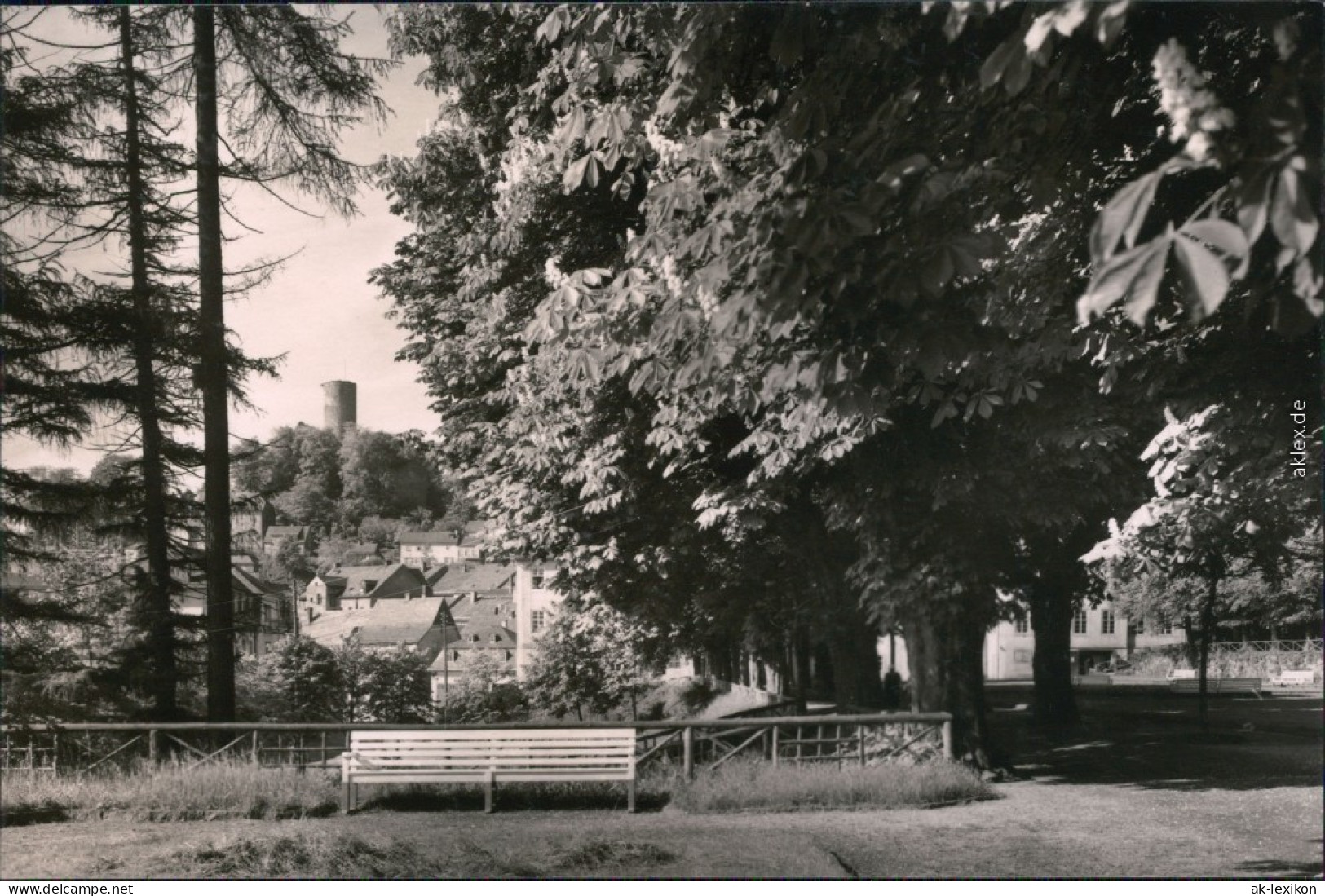 Ansichtskarte Bad Lobenstein Moorbad Lobenstein: Untere Parkallee 1960 - Lobenstein