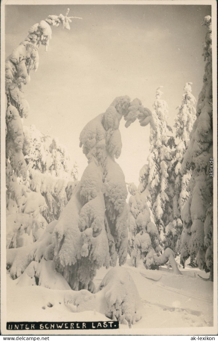 Schmiedeberg (Erzgebirge)-Dippoldiswalde Unter Schwerer Last - Winter 1930  - Schmiedeberg (Erzgeb.)