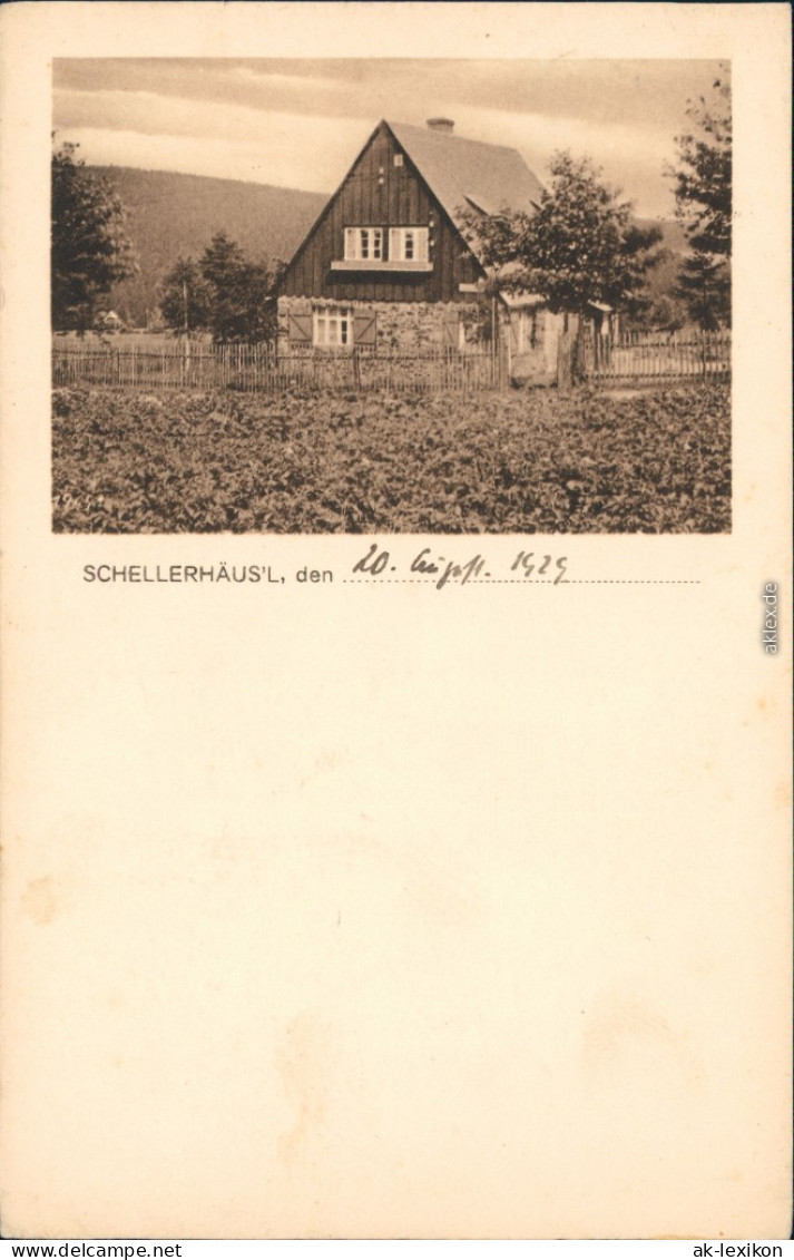 Schellerhau Altenberg (Erzgebirge) Partie Am Schellerhäusl 1925 - Schellerhau