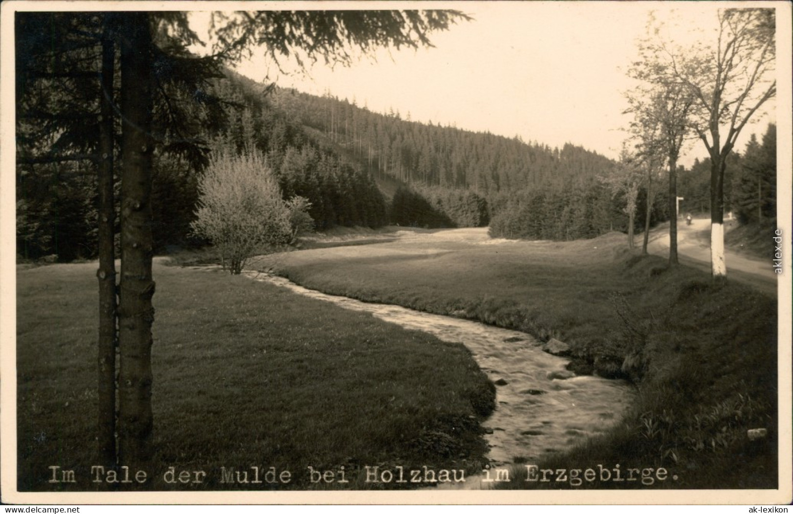 Ansichtskarte Holzhau-Rechenberg-Bienenmühle Im Tale Der Mule - Straße 1937  - Holzhau