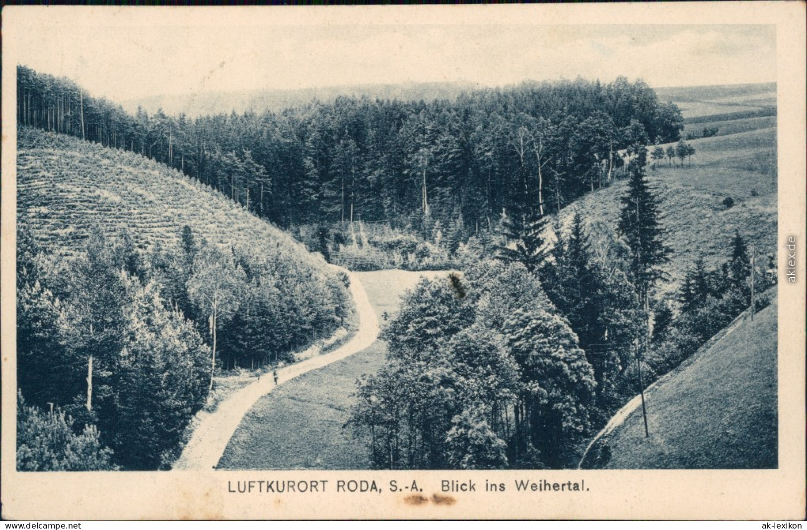 Ansichtskarte Stadtroda Blick Ins Weihertal 1921  - Stadtroda