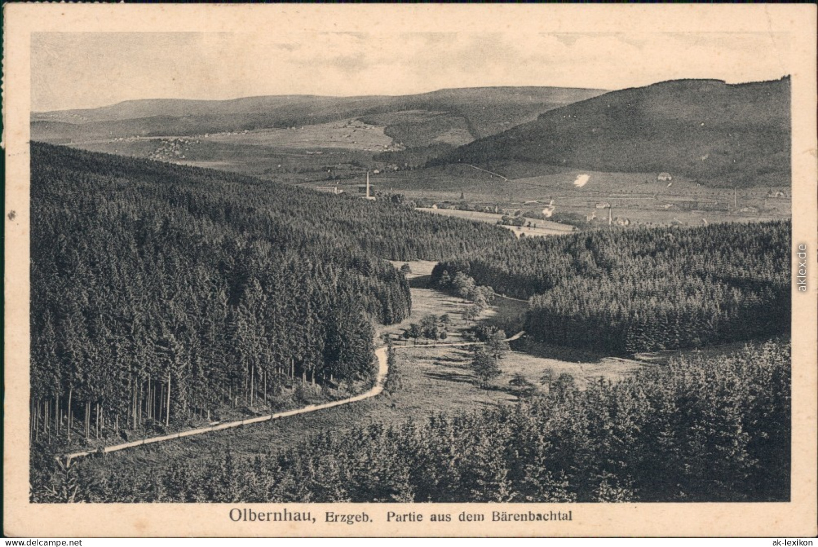 Ansichtskarte Olbernhau Partie Aus Dem Bärenbachtal 1932  - Olbernhau