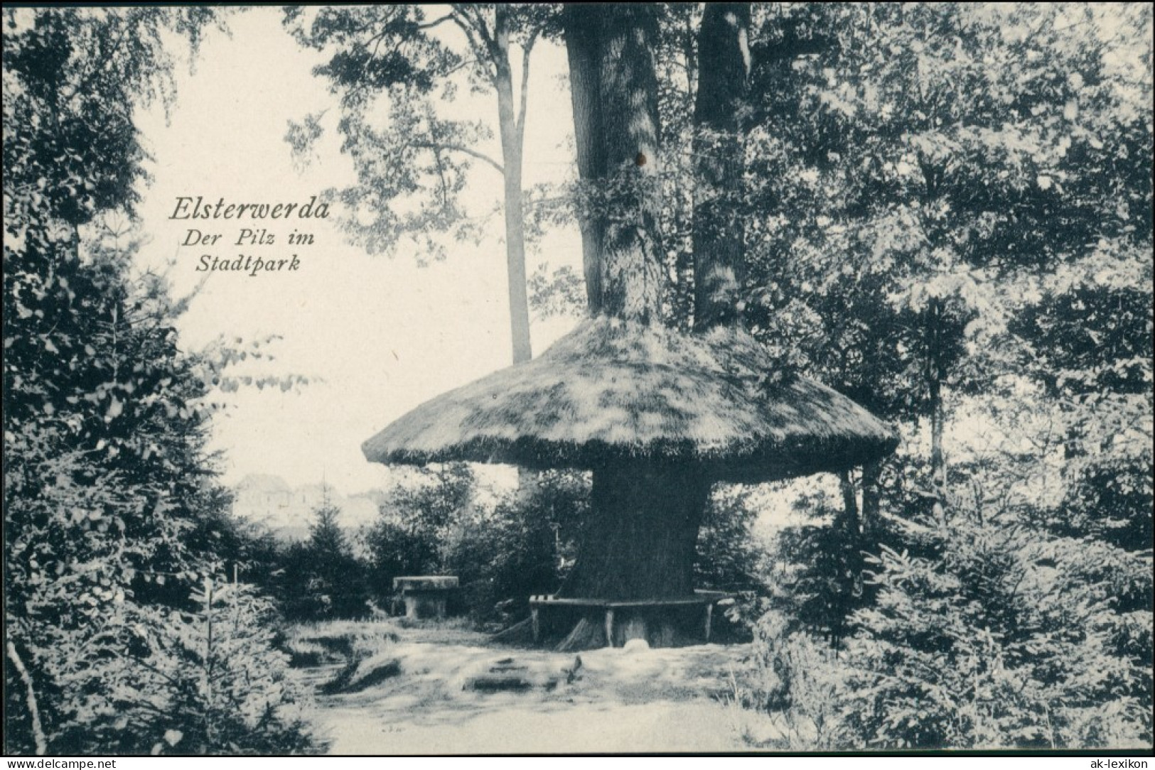 Ansichtskarte Elsterwerda Wikow Partie Am Pilz Im Stadtpark 1909 - Elsterwerda