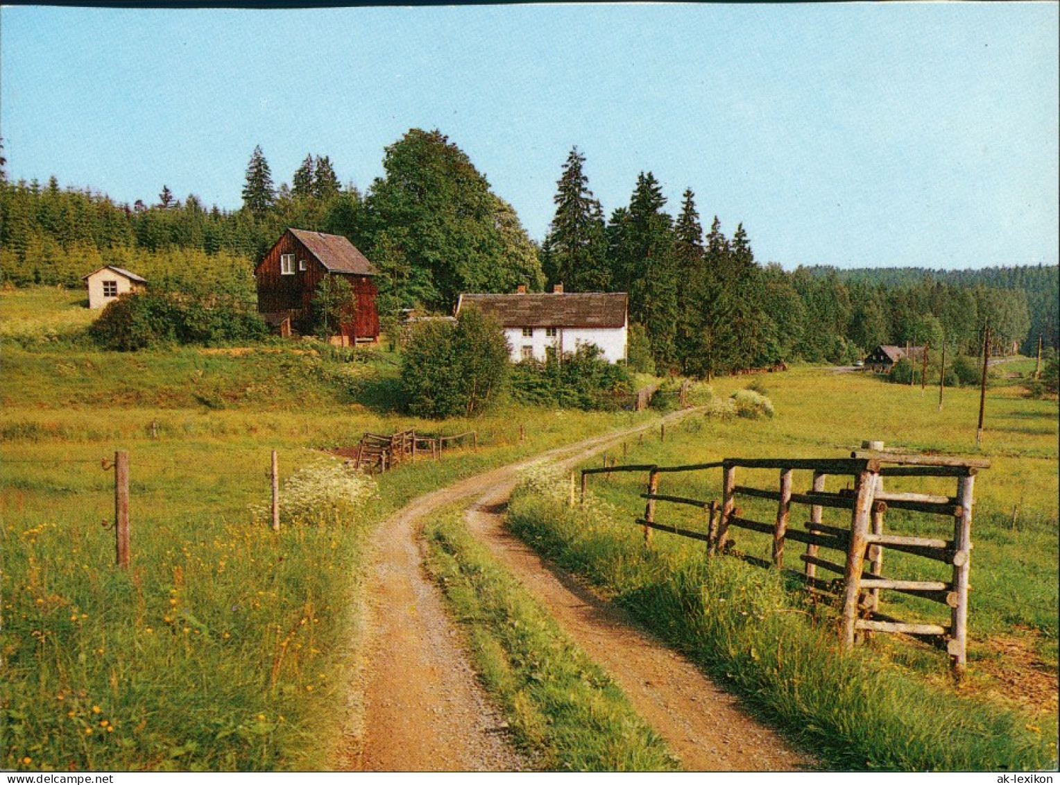 Ansichtskarte Bad Brambach Im Rauner Grund 1988 - Bad Brambach