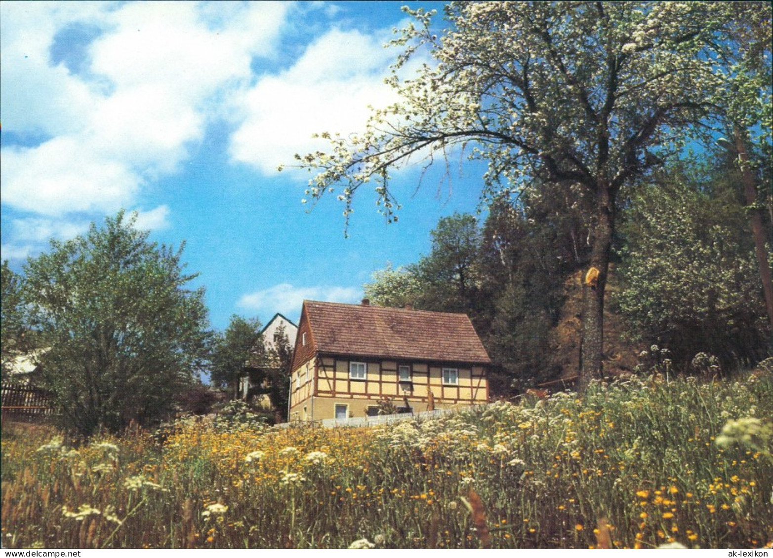 Ansichtskarte  Stimmungsbild: Frühling Bei Dresden 1983/1989 - Sonstige & Ohne Zuordnung