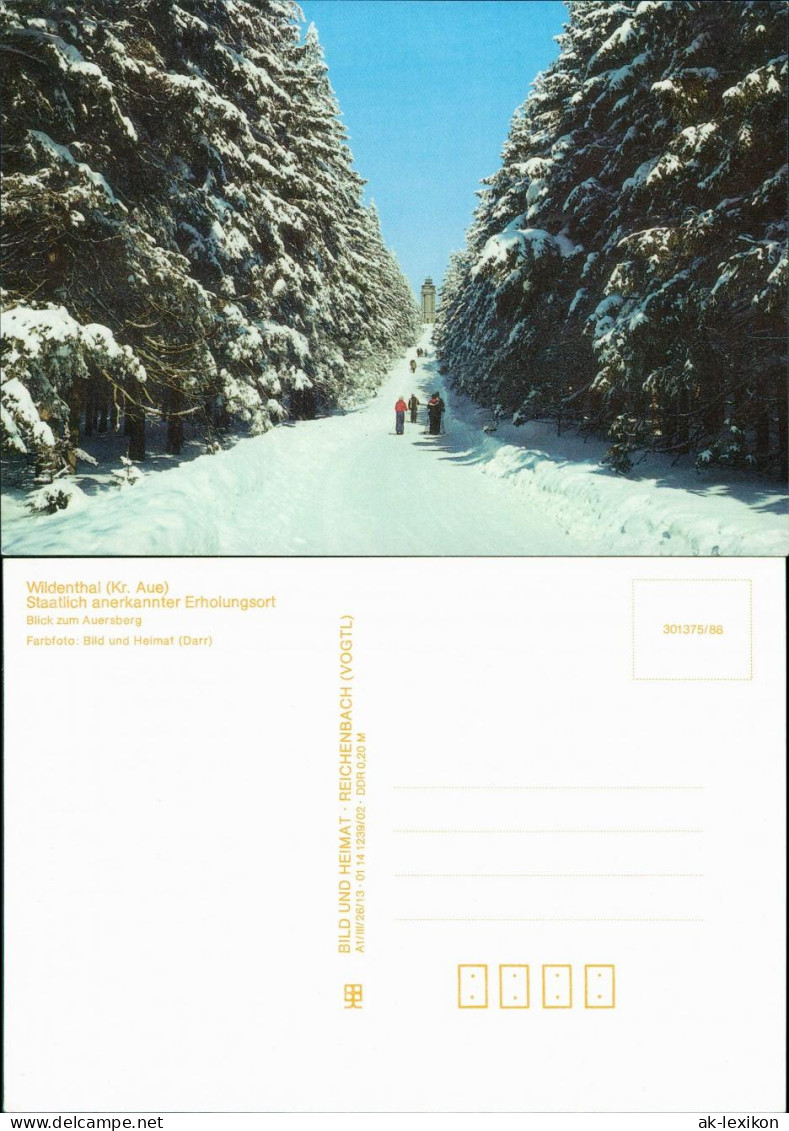 Ansichtskarte Wildenthal-Eibenstock Auersberg - Im Winter 1987/1988 - Eibenstock