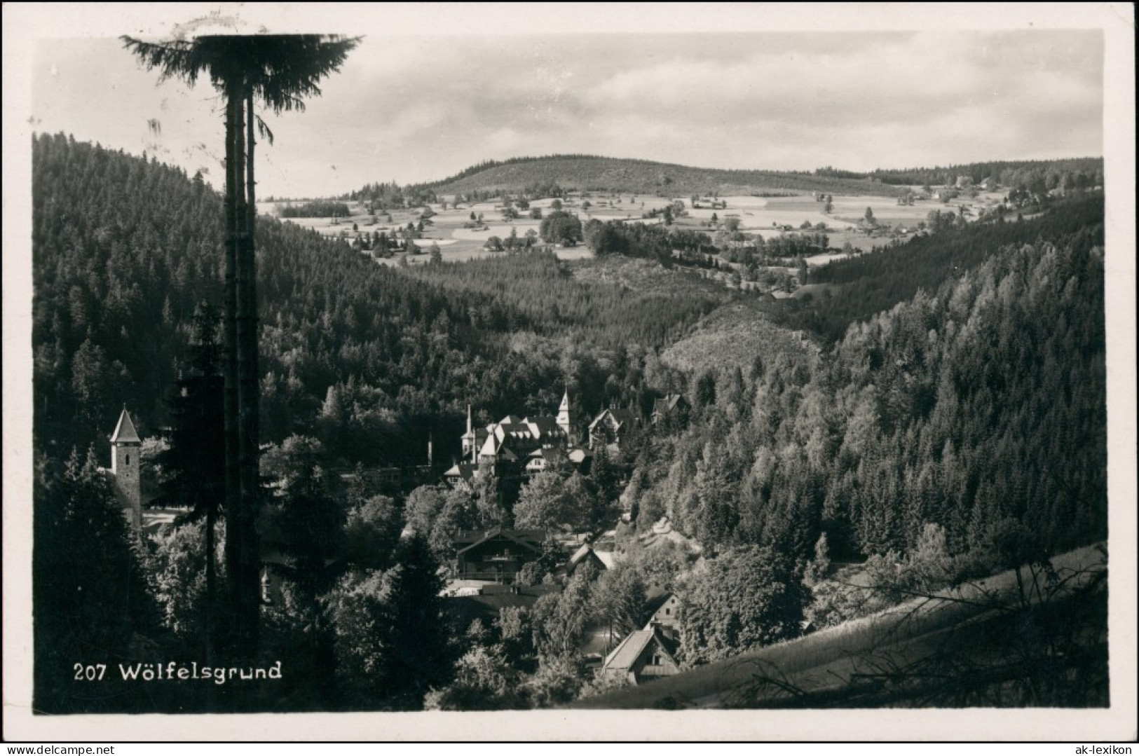 Postcard Wölfelsgrund Mi&#281;dzygórze Stadtblick 1931 - Schlesien