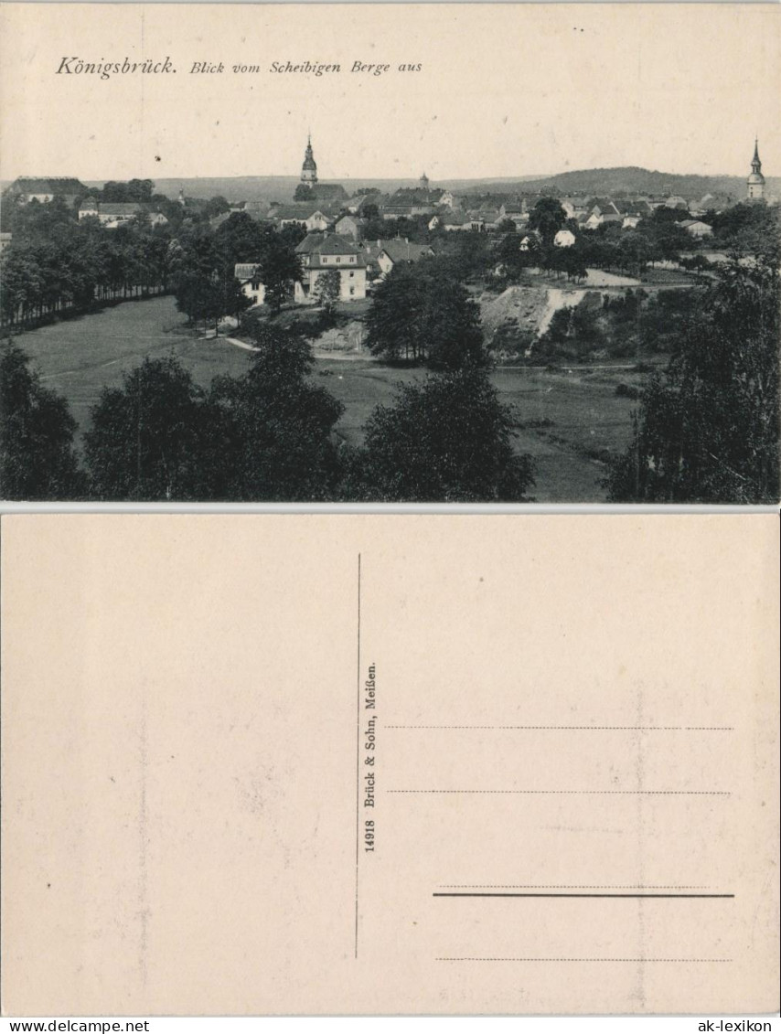 Ansichtskarte Königsbrück Kinspork Blick Vom Scheibigen Berge Aus 1913 - Koenigsbrueck