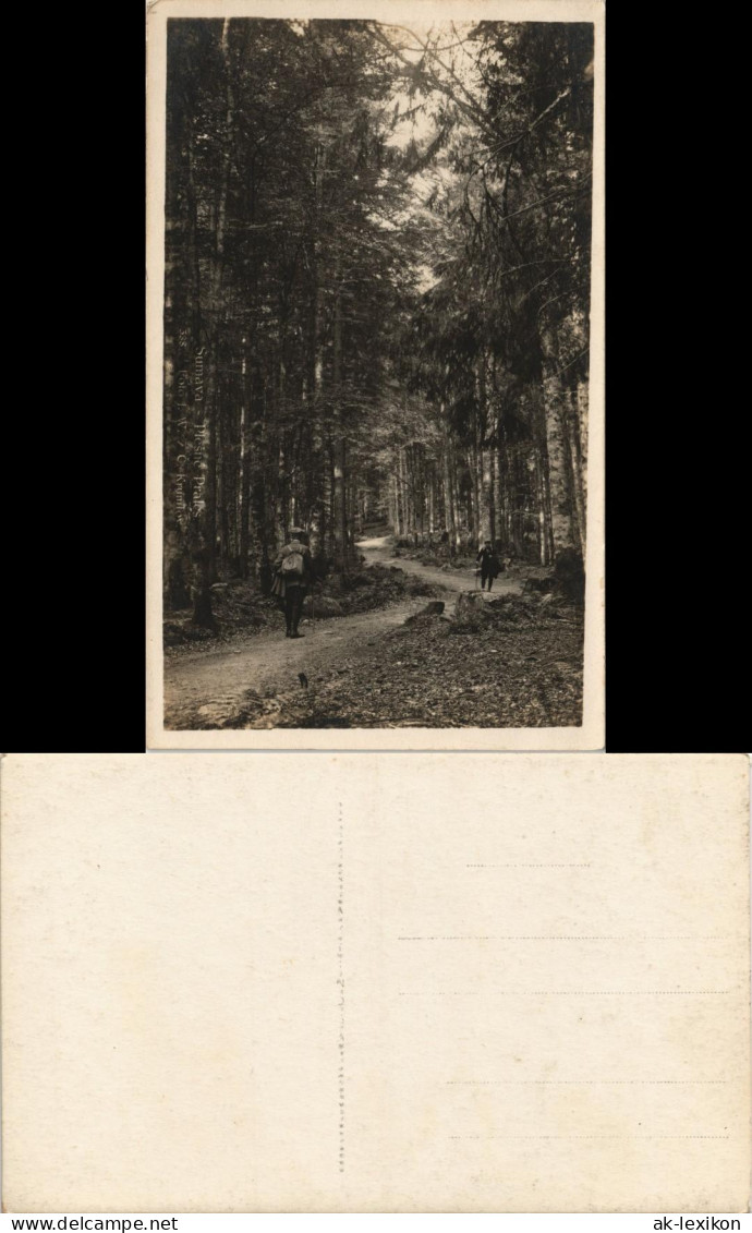 Ansichtskarte  Wanderer Wandern Männer Im Wald 1928 - Unclassified