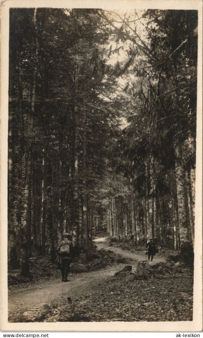 Ansichtskarte  Wanderer Wandern Männer Im Wald 1928 - Unclassified