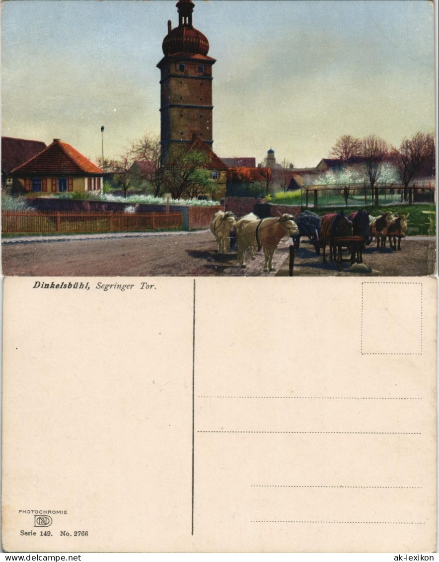 Ansichtskarte Dinkelsbühl Pferde Gespanne Vor Dem Segringer Tor 1910 - Dinkelsbühl