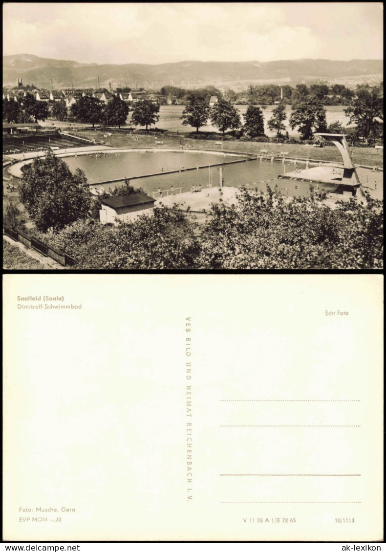 Ansichtskarte Saalfeld (Saale) Dimitroff Schwimmbad Freibad Zur DDR-Zeit 1965 - Saalfeld