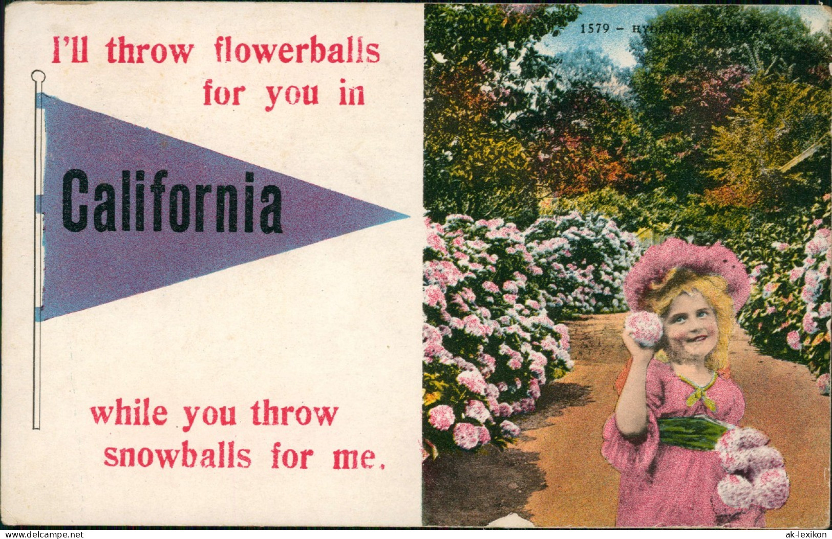 Kalifornien Allgemein California Flowers Snowball Mädchen Girl 1913 - Autres & Non Classés