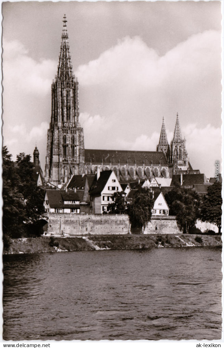 Ulm A. D. Donau Ulmer Münster Foto Ansichtskarte 1959 - Ulm