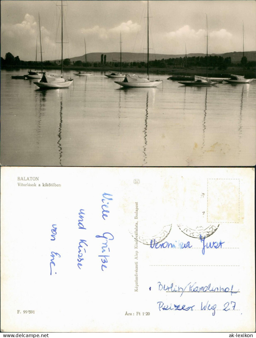 Postcard .Ungarn BALATON Vitorlások A Kikötőben 1970 - Hongrie