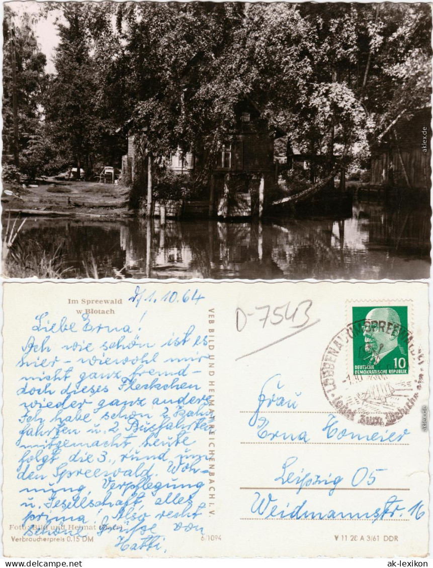 Ansichtskarte Lübbenau (Spreewald) Lubnjow Partie Im Spreewald 1964 - Luebbenau