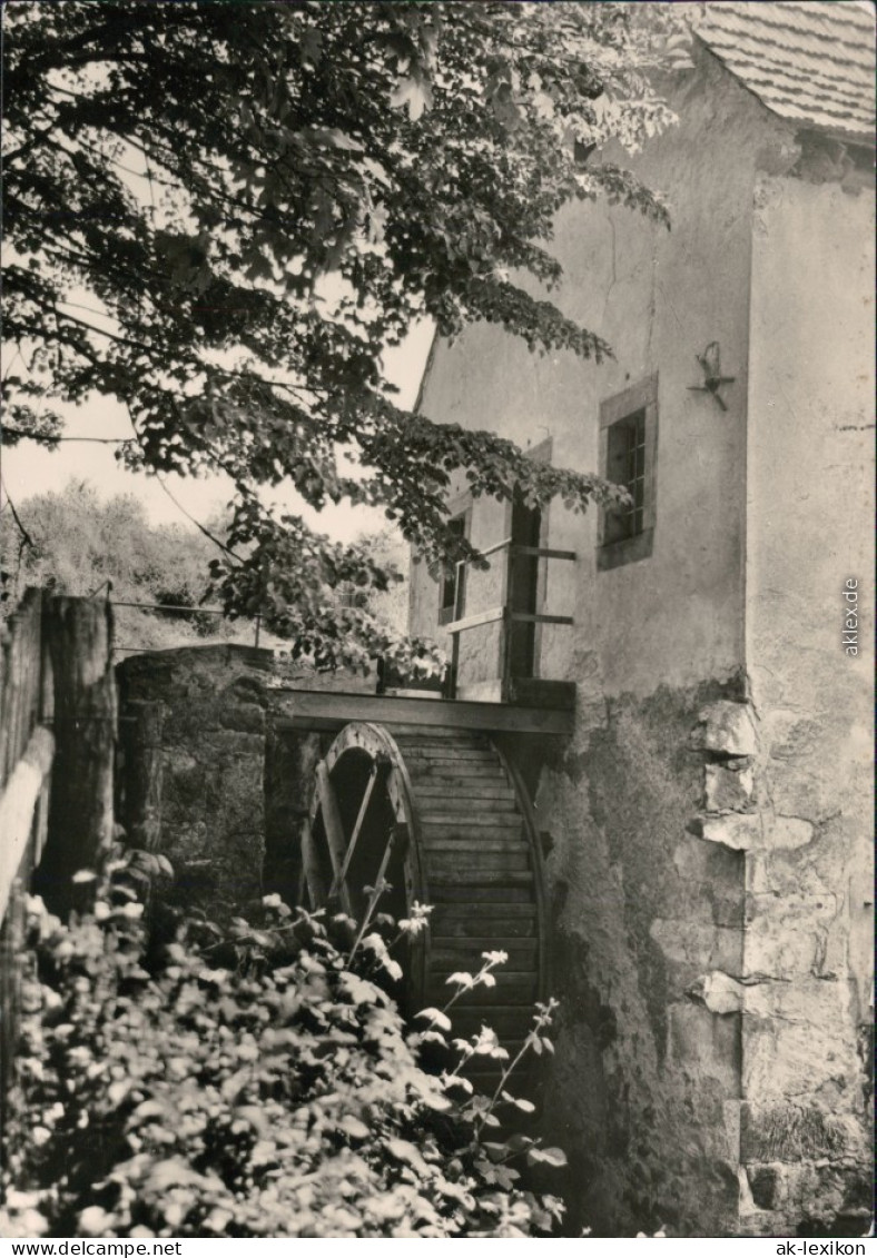 Jahnshain-Kohren-Sahlis Lindigtmühle Am Lindenvorwerk, Jetzt Museum 1981 - Kohren-Sahlis