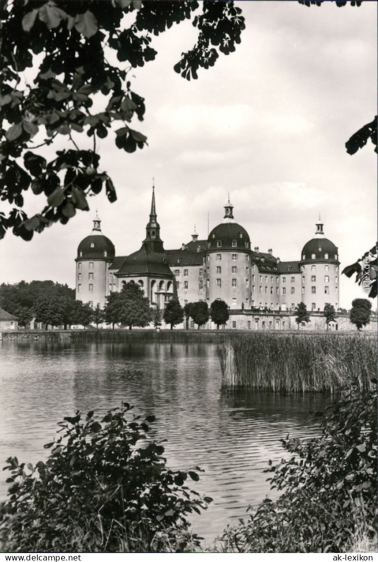 Ansichtskarte Moritzburg Kgl. Jagdschloss 1976 - Moritzburg