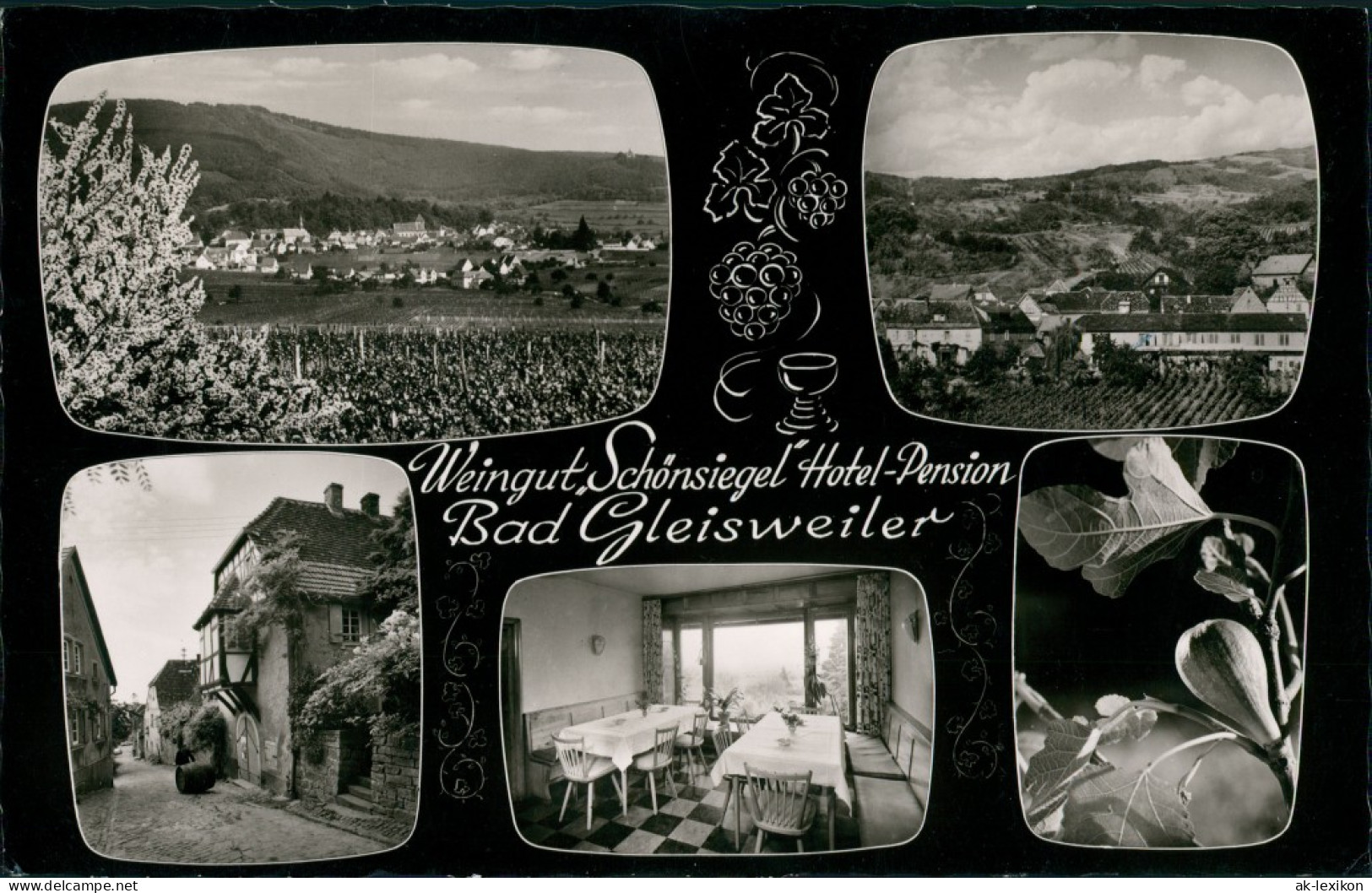 Ansichtskarte Gleisweiler-Edenkoben MB Weinreben - Hotel 1963 - Edenkoben