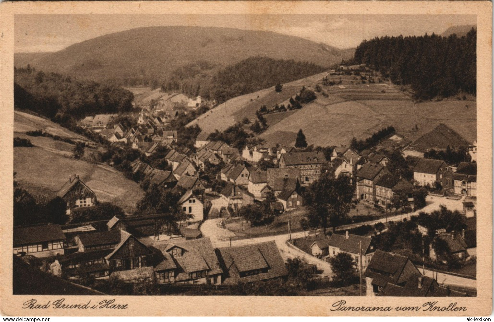 Ansichtskarte Bad Grund (Harz) Panorama Gesamtansicht Vom Knollen Aus 1930 - Bad Grund