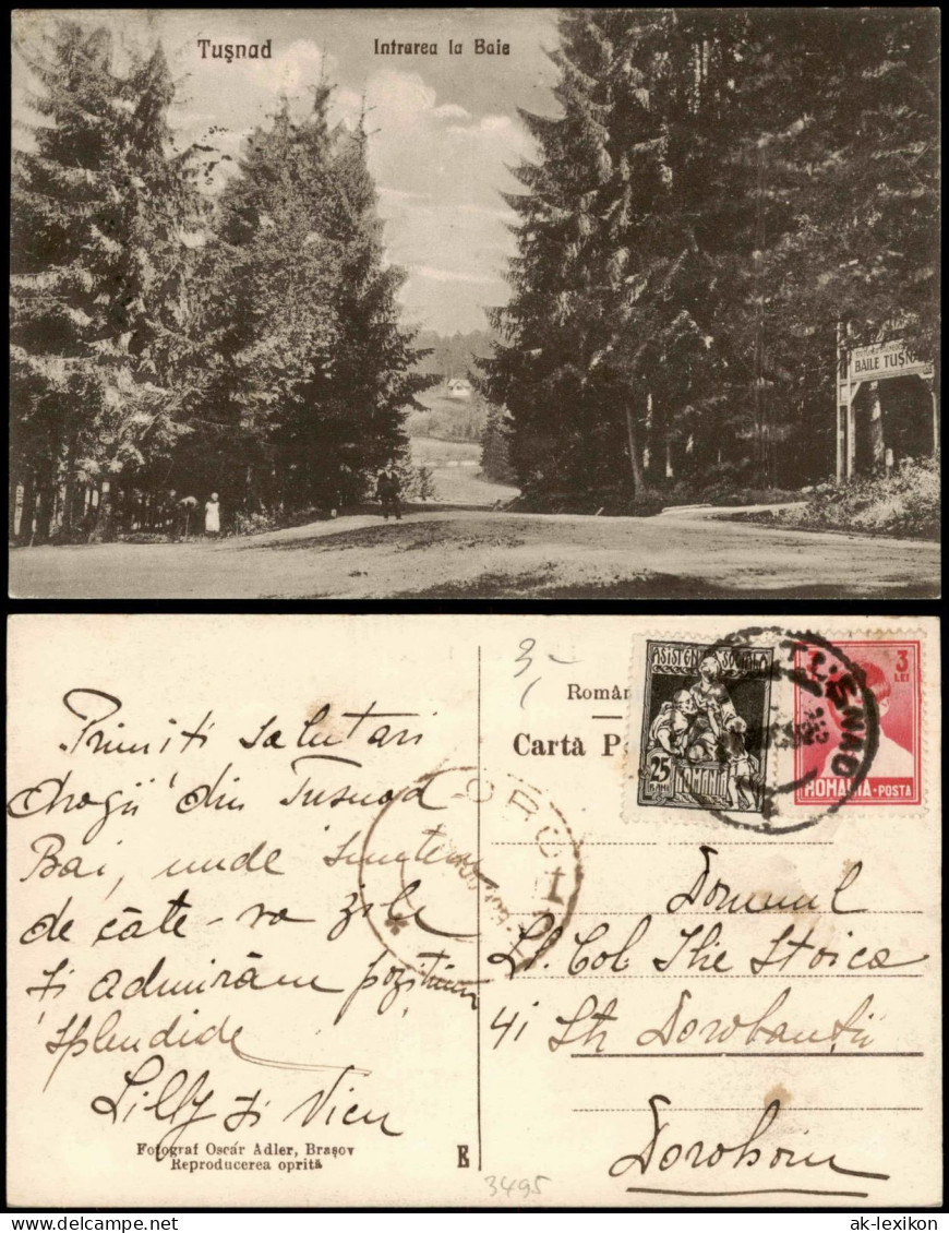 Postcard Bad Tuschnad Băile Tușnad Tusnádfürdő Intrarea La Baie 1925 - Romania