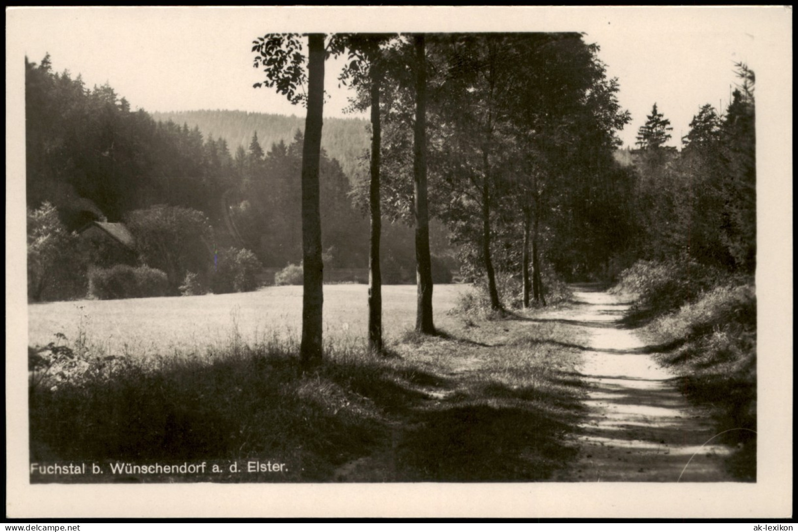 Ansichtskarte Wünschendorf (Elster) Fuchstal 1952 - Sonstige & Ohne Zuordnung