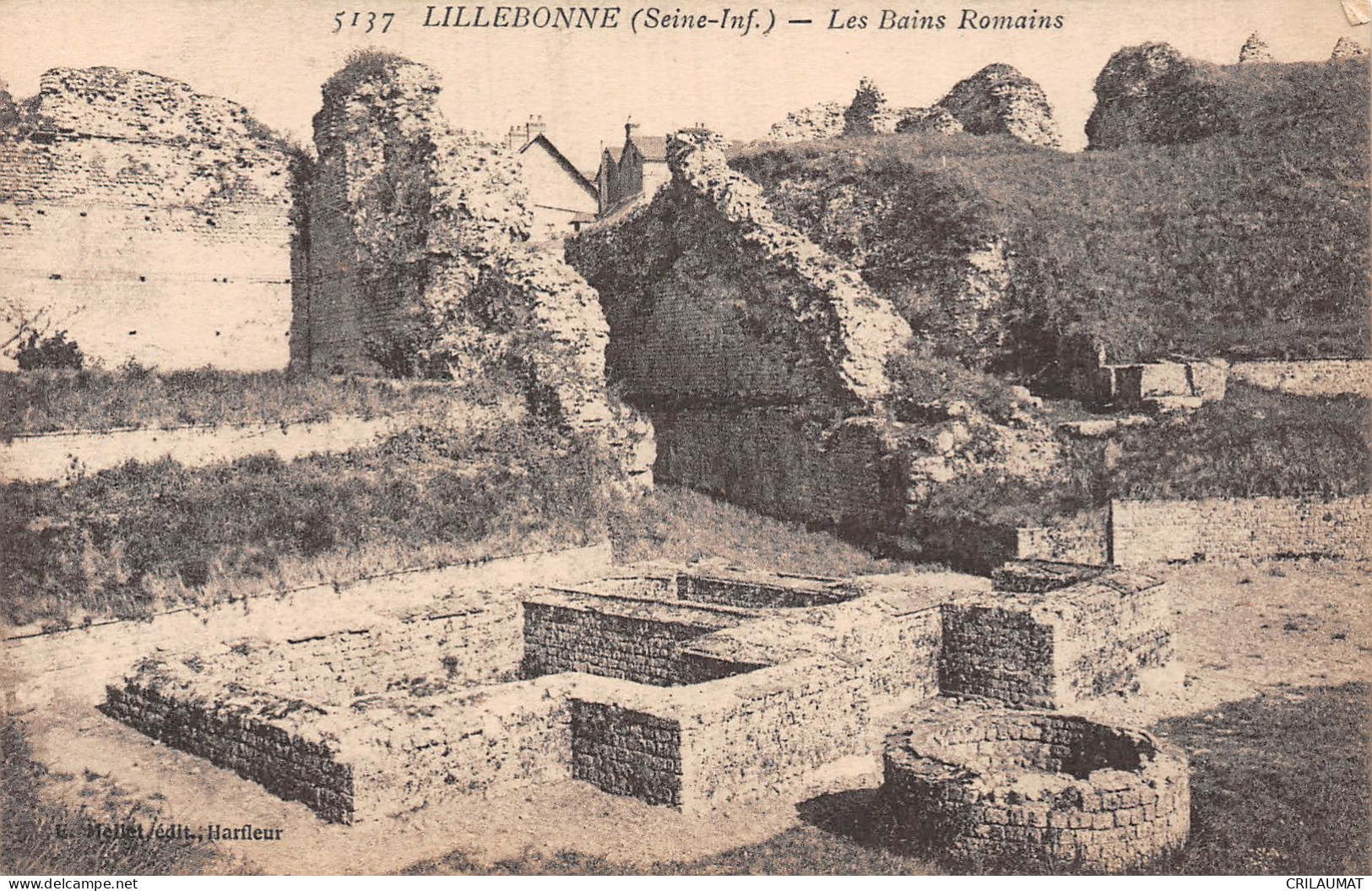 76-LILLEBONNE-N°T2932-B/0119 - Lillebonne