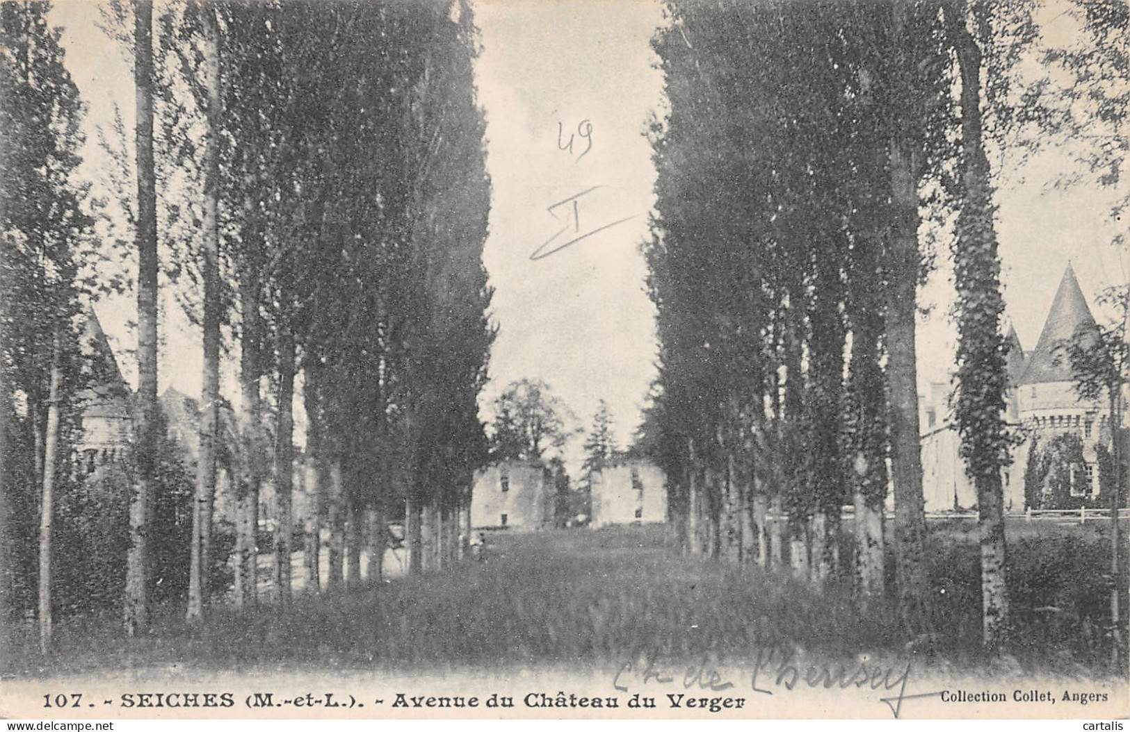 49-SEICHES-N°3875-B/0231 - Seiches Sur Le Loir