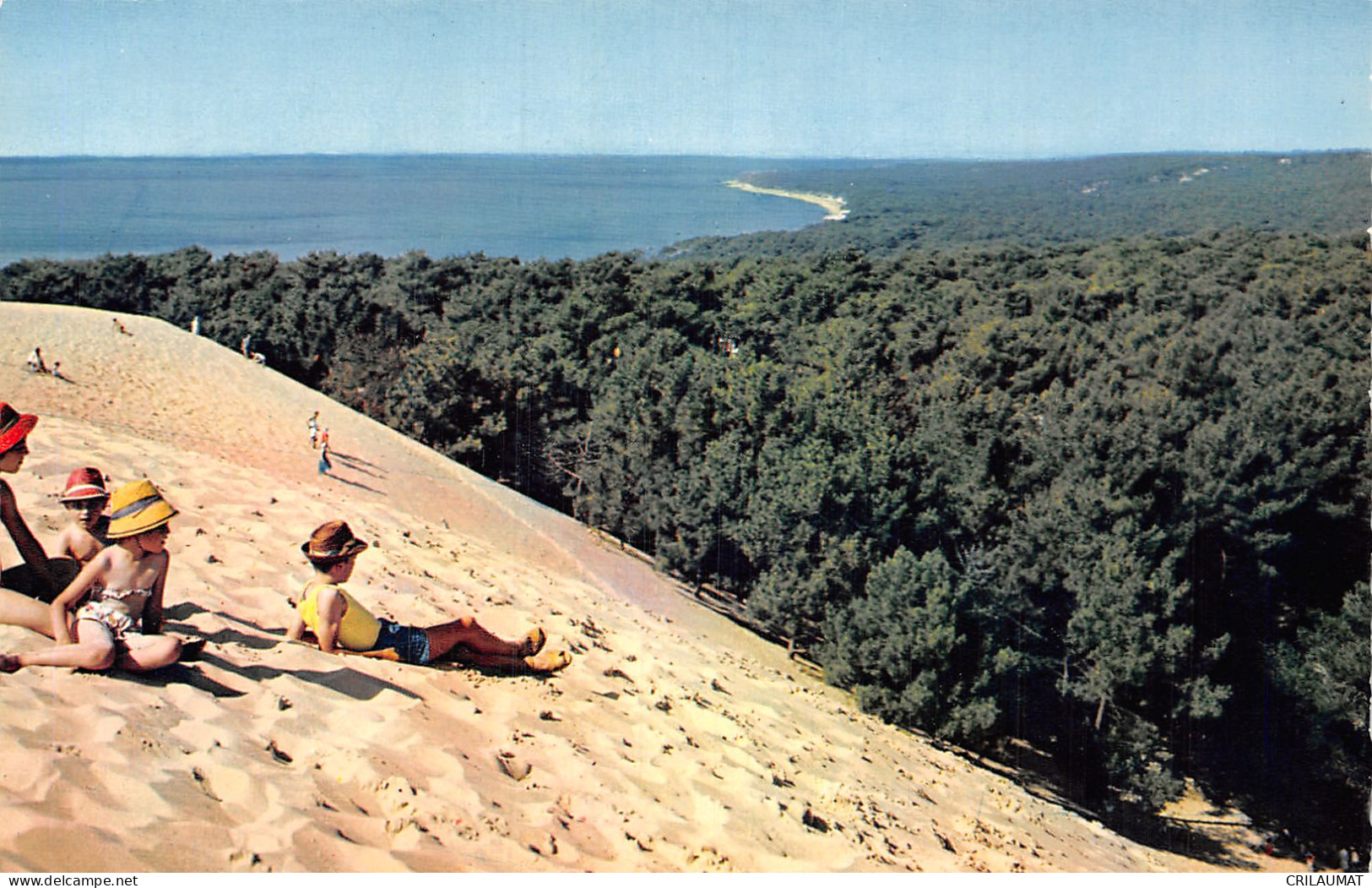 33-DUNE DU PILAT-N°T2934-D/0105 - Autres & Non Classés