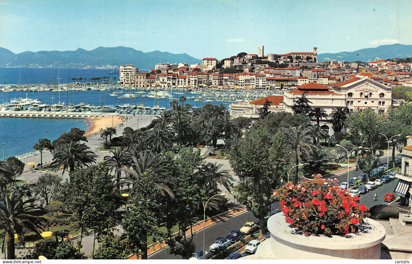 06-CANNES-N°3877-A/0079 - Cannes