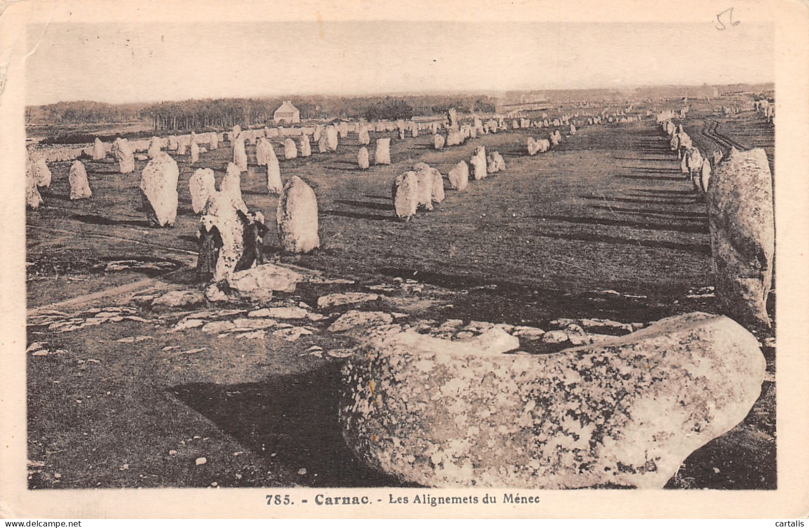 56-CARNAC-N°3876-H/0349 - Carnac