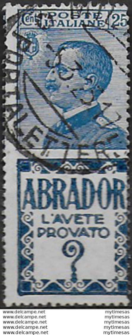 1924-25 Italia Pubblicitari 25c. Abrador Mc Cancelled Sassone N. 4 - Other & Unclassified