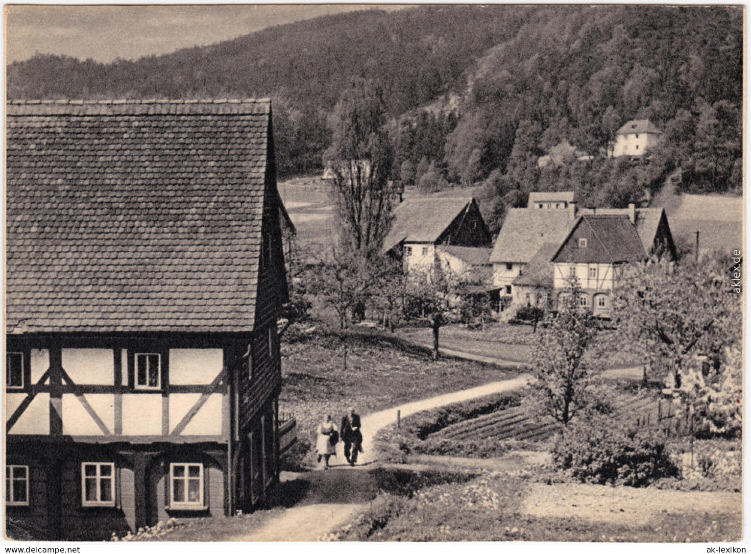 Jonsdorf Ansicht Mit Weg  Foto Ansichtskarte Oberlausitz Zittau Straße Haus 1963 - Jonsdorf