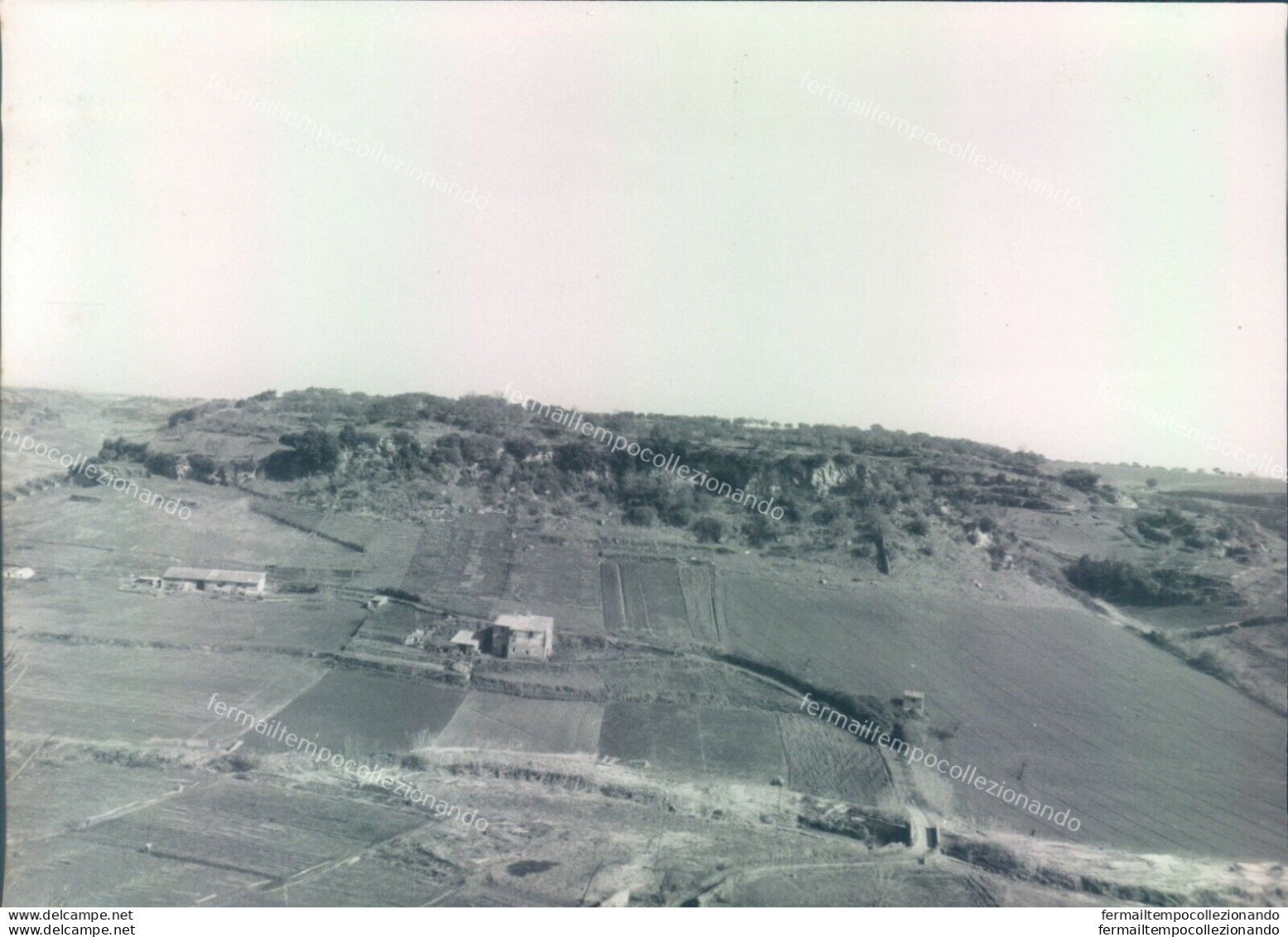 A985 Bozza Fotografica Tuscania Provincia Di Viterbo - Viterbo