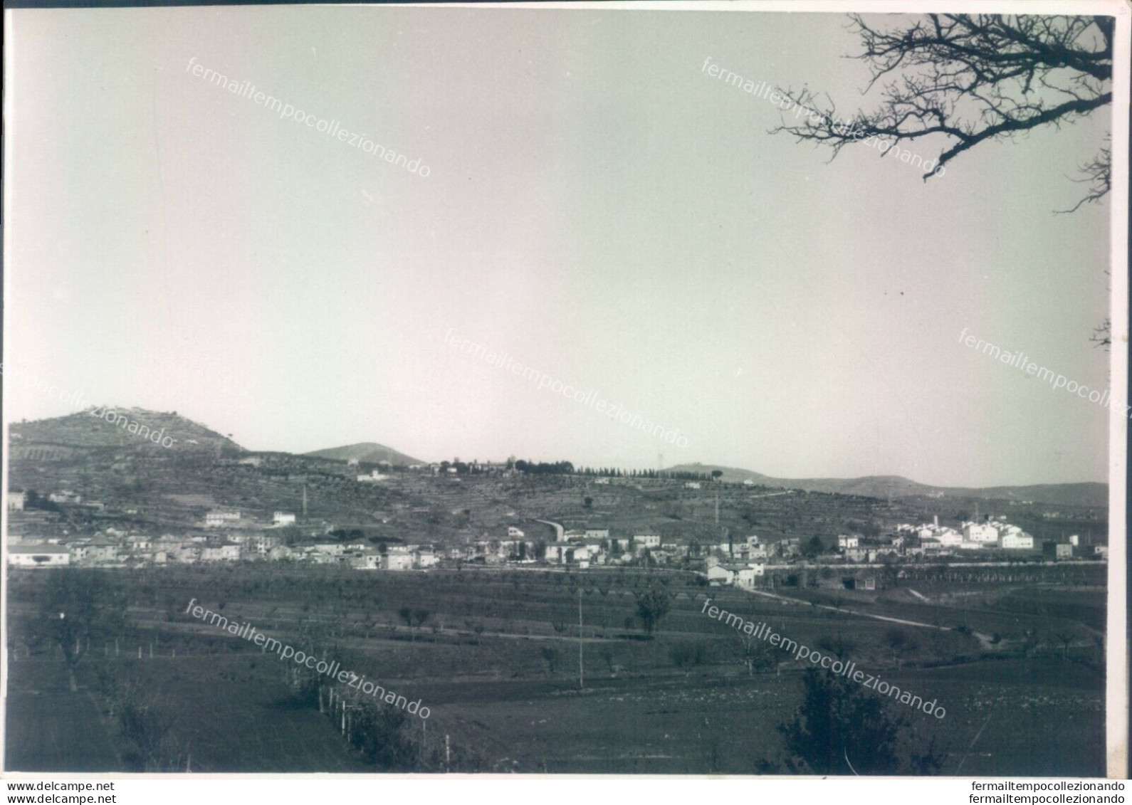 A938 Bozza Fotografica Tavernelle Provincia Di  Massa Carrara - Massa