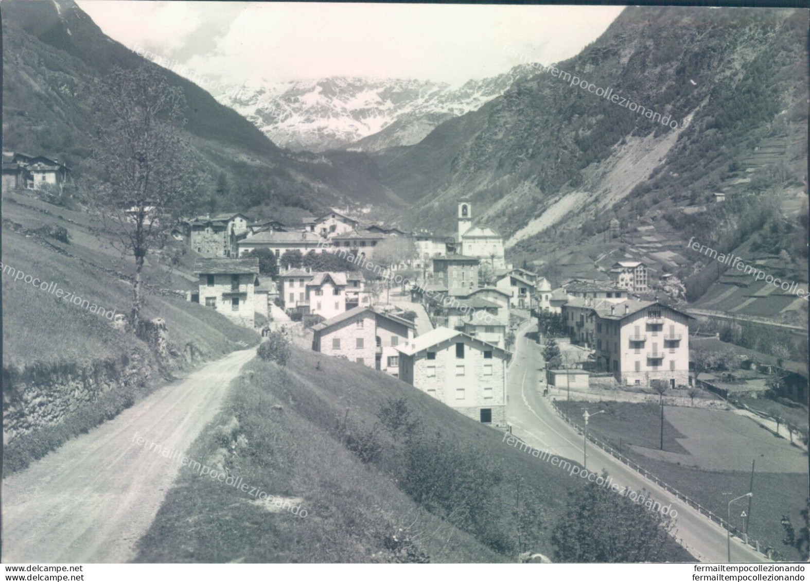 A974 Bozza Fotografica Torre S.maria Provincia Di Sondrio - Sondrio