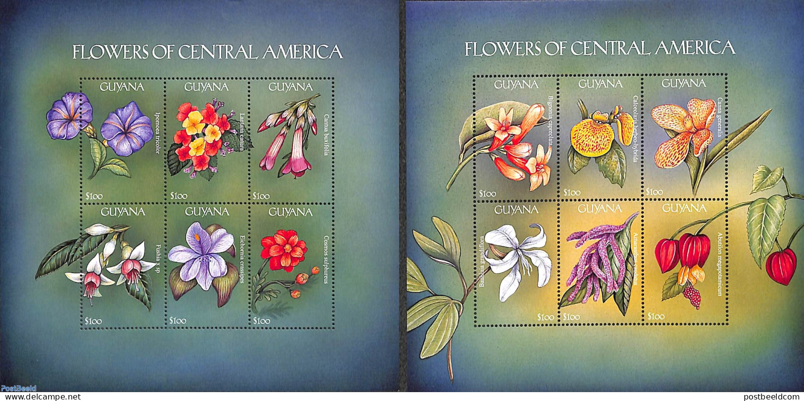 Guyana 2000 Central American Flora 12v (2 M/s), Mint NH, Nature - Flowers & Plants - Guyana (1966-...)