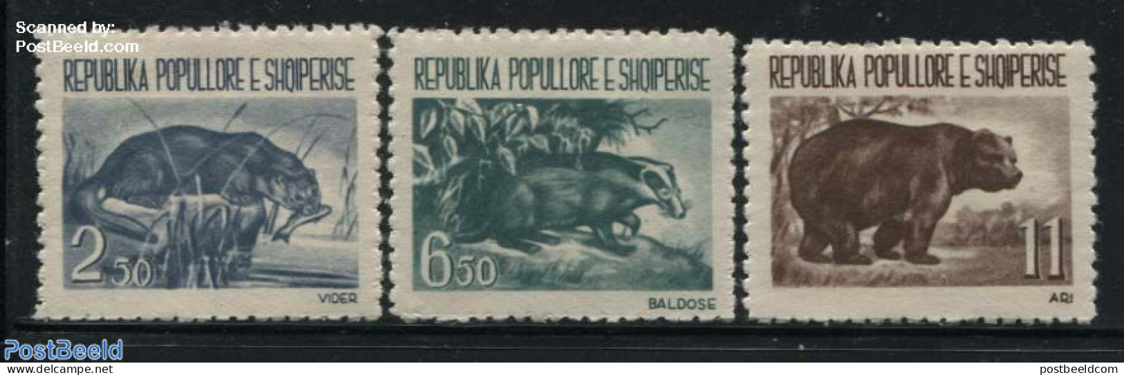 Albania 1961 Animals 3v, Mint NH, Nature - Animals (others & Mixed) - Bears - Albanien