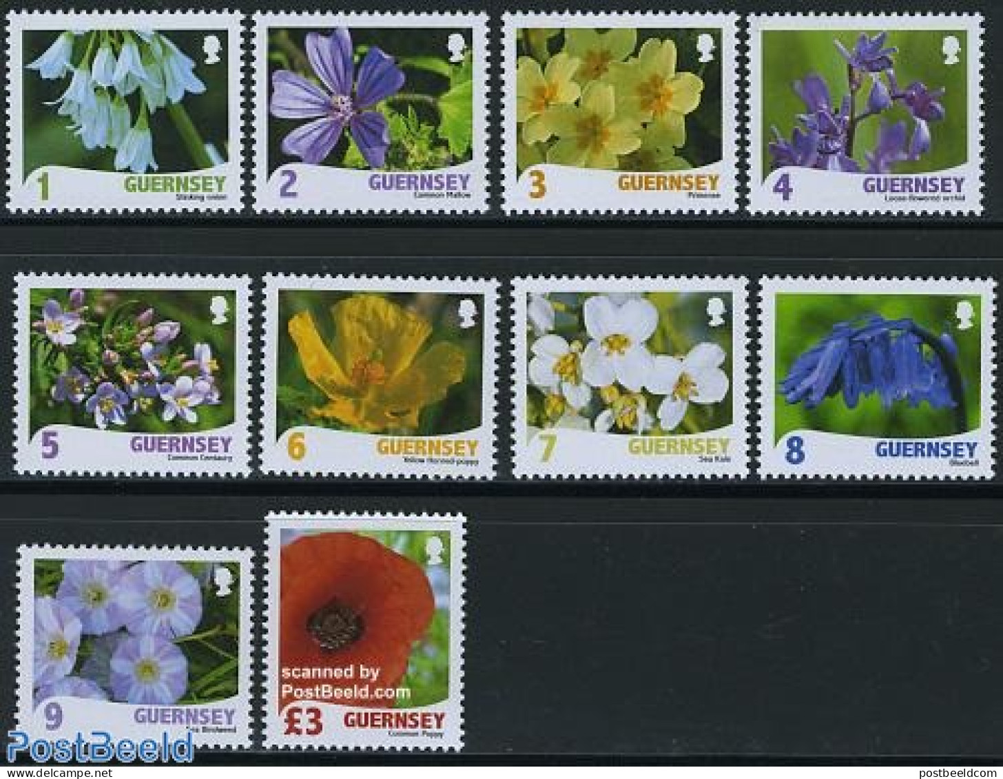 Guernsey 2009 Wild Flora 10v, Mint NH, Nature - Flowers & Plants - Guernesey